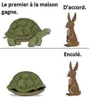 Le lièvre et la tortue